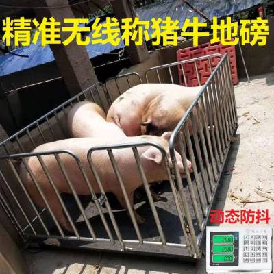 猪用电子防抖动无线围栏地磅