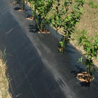 编织打孔茶园防草布园艺地布花卉种植盖草布园林除草用防草布厂家