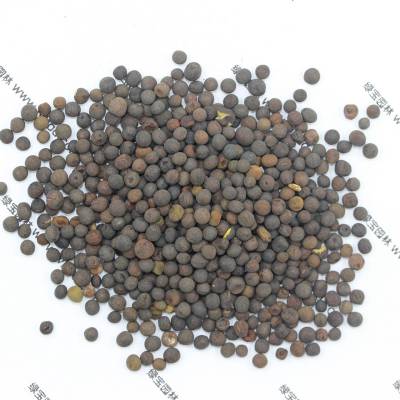 供应供应光叶紫花苕种子批发 供应***牧草种子 产量高 营养价值高