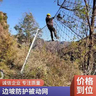 拧花型护坡挂网 川鑫柔性被动防护网 边坡治理维护山体