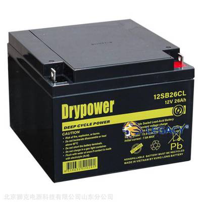 美国DRYPOWER蓄电池12SB12P-F2 12V12AH应急电源