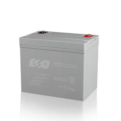 6GFM55ʽESG12V5***HĿ