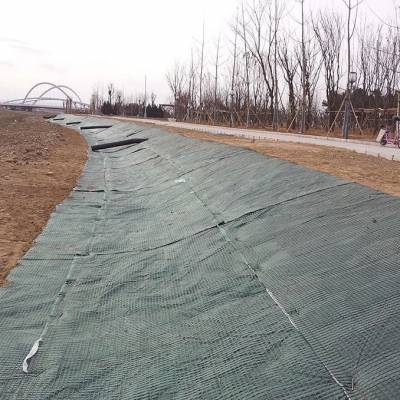 绿化植生毯，环保草毯 浙江绿维毯