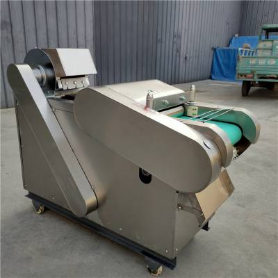 小型豆角切丁机 豆腐皮切丝机 平头1000型咸菜疙瘩切菜机