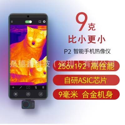 P2ֻȺȳǻȸӦҵ