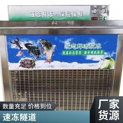 扇贝肉隧道式速冻机 鱿鱼速冻流水线 低温海鲜冷冻装置