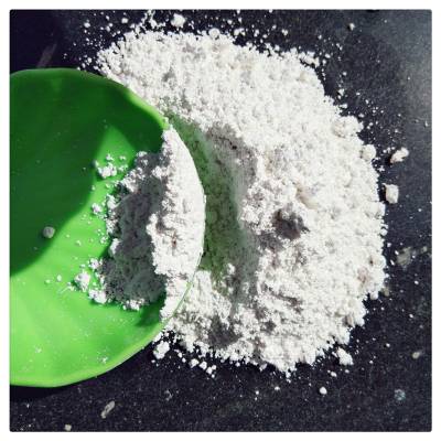 海滨供应钙粉 陶瓷用白云石粉 涂料用钙粉