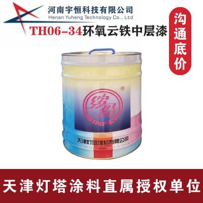 TH06-34环氧云铁中层漆 港口矿井钢铁防腐涂料 灯塔油漆授权代理