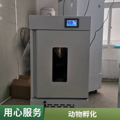宁波新励 HWS-2000DW 大型恒温恒湿培养箱