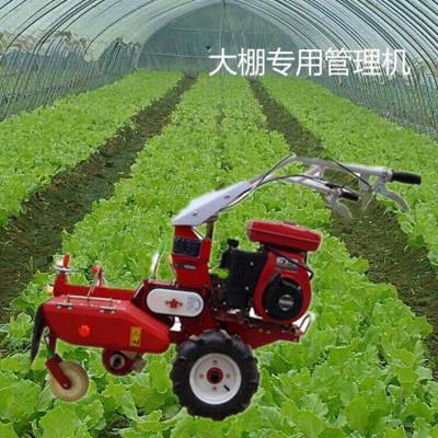 小型果园除草大姜培土多功能田园管理机 便捷式开沟培土机