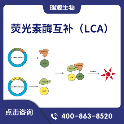 ӫøLCA