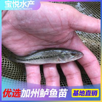 ޱʯǮһ 