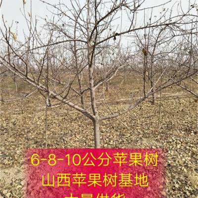 10/12/15ƻ۸ ƻһĶֲ(ٿ+о+