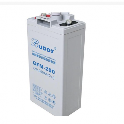 BUDDYGFM-200Ǧ2V200AHܴ۸