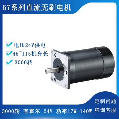 57BL9524ֱˢ24V3000ת