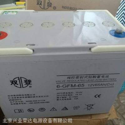˫6-GFM-65/12V6***Hֱ