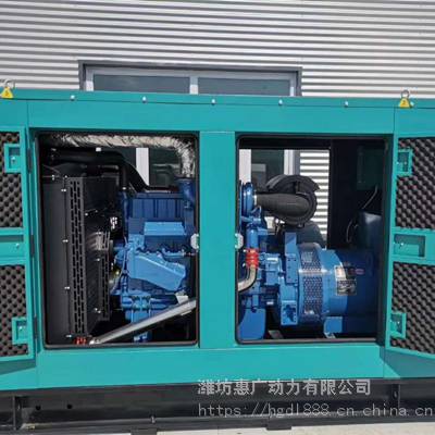 YC6K500-D30ͻ 300KW