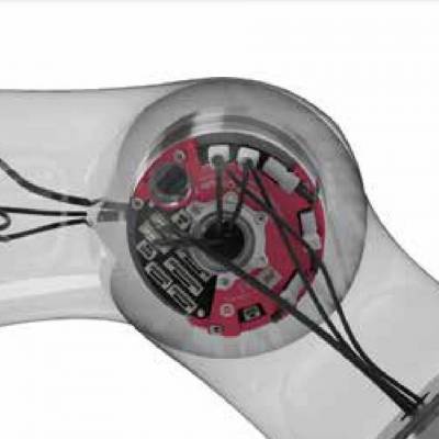 SynapticonCirculo 9֧˫Circulo 7ڹؽԲֱ