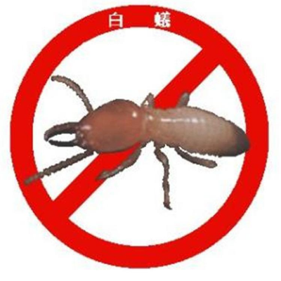 ƽϷվ ľϷ ŷ