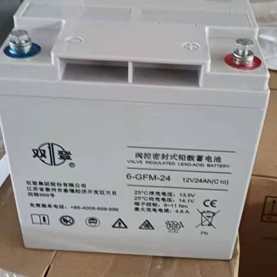 双登6-GFM系列6-GFM-24阀控密封式铅酸蓄电池