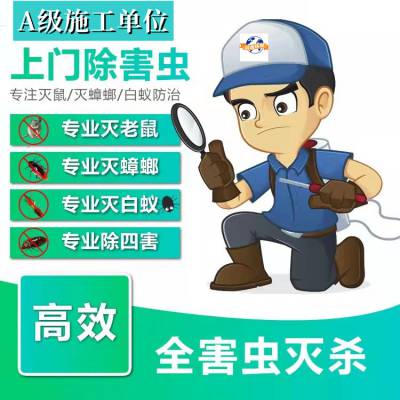上海七宝镇除白蚁电话-上门杀虫灭鼠灭蟑螂服务公司