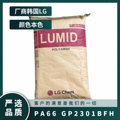 韩国 LUMID® PA66 GP2301BFH LG工程塑料 注塑 卤素阻燃 电子电器应用