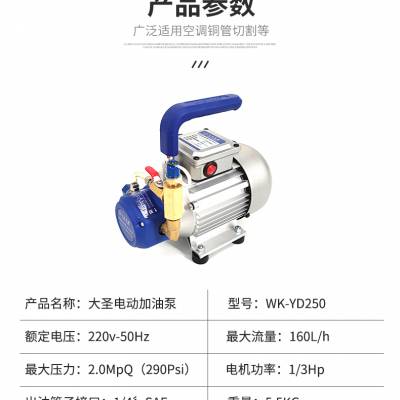 大圣中央空调电动加油泵WK-YD250冷冻油制冷电动抽补加油泵