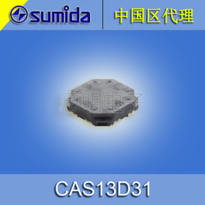 sumidaӦCAS13D31