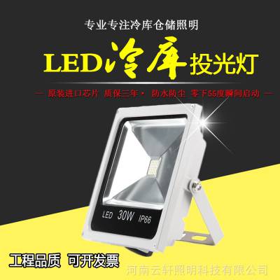  LEDͶ30W ʺ߶4-6 ؿٶר