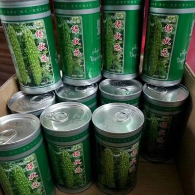 绿状元苦瓜种子苗子 绿星11 抗病能力强 天津科润农业种苗