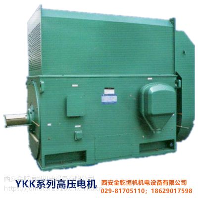 供应优质西安泰富西玛高压三相异步电动机YKK6304-10 10KV 1000KW IP44
