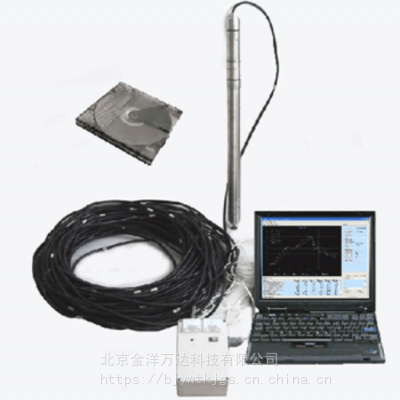 地下水流向流速仪（地下水动态参数测量仪）型号:CS901 金洋万达