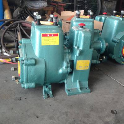 JR65QZ-50/110N自吸式洒水车泵厂家 原厂洒水增压泵 价位优惠