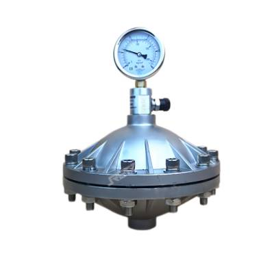进口膜片式脉冲阻尼器 PVC脉动阻尼器 计量泵脉动缓冲器 美国RETZ瑞茨