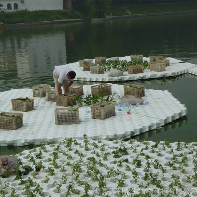 人工生态浮岛泡沫浮岛,牢固浮力大,工人可直接在浮岛上施工