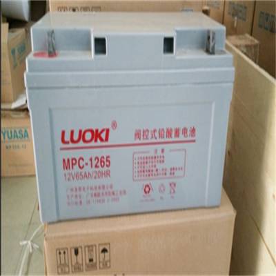 LUOKIMPC65-12 12V65AHǦᷧάƿֻ