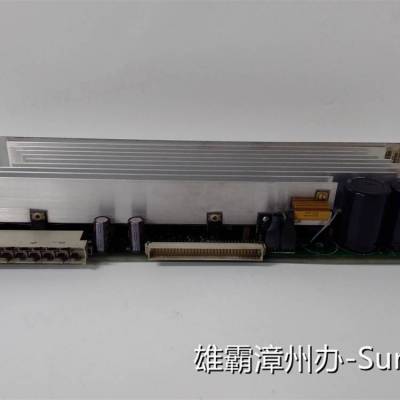 GE 模块供应 DS200LPPAG1AAA