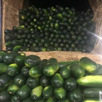 望牛墩镇生鲜配送食材新鲜送货上门