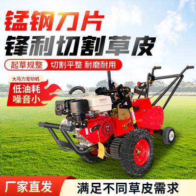鼎诚 手推式全自动起草皮机草坪铲草机 手扶自动切断一体机