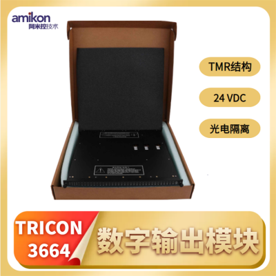 Tricon 3503E DIϵͳģ