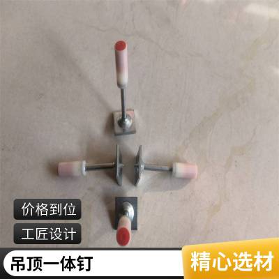 生产吊顶一体钉管卡钉木工装修集成吊顶钉吊顶神器射钉