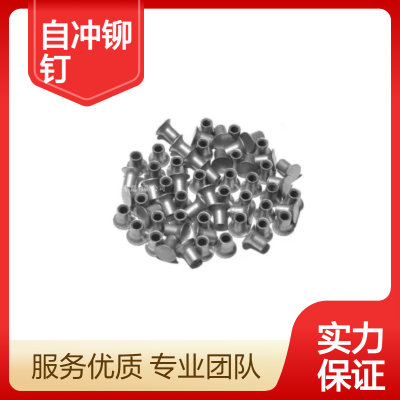 5.3*8自冲铆钉，达克罗防锈处理，合金钢母线槽，交安设施专用