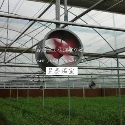内循环风机蔬菜温室大棚环流风机轴流风机YTWSXH0043