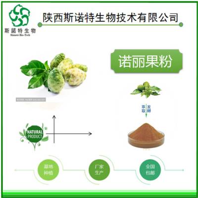 棕黄色粉末 速溶 诺丽果提取物 80目筛 包邮发货 斯诺特生物