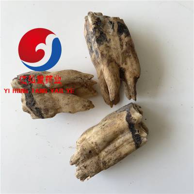 中药材牛齿价格多少钱一公斤