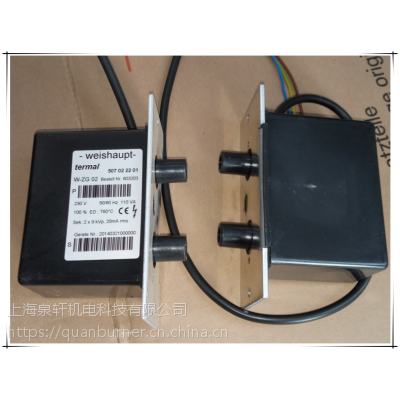 W-ZG02 | ѹ 2*9KV weishaupt ȼר