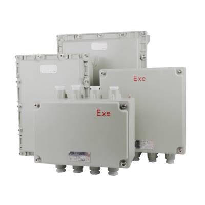 ѹ ExdBT4-IP54-WF2Ǳ궨