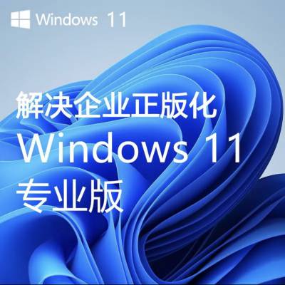 ΢  WINDOWS 11רҵ Ȩ--ʽ