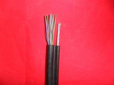 电缆ZR-HYAT-2*2*0.75