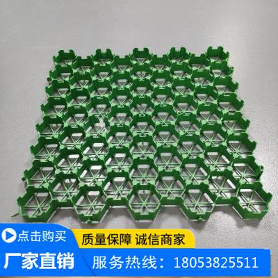 HDPE草坪格抗UV耐酸碱腐蚀性能稳定 500*500*70型聚乙烯塑料植草格